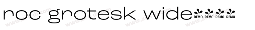 roc grotesk wide字体转换